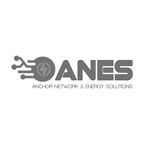 ANES Logo